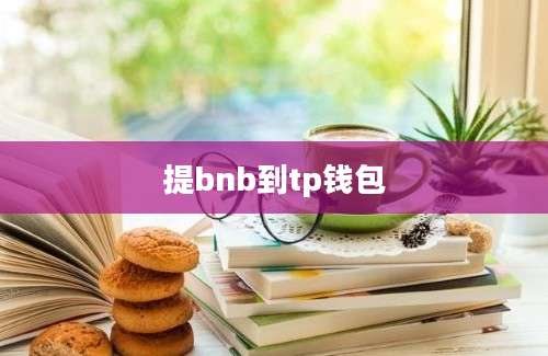 提bnb到tp钱包