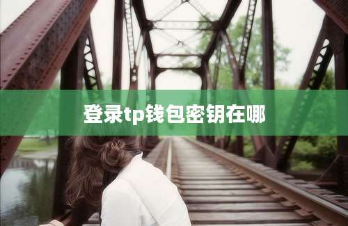 登录tp钱包密钥在哪