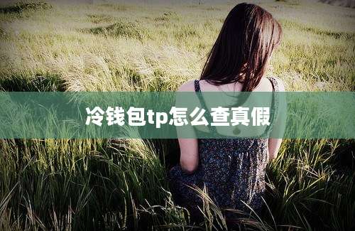 冷钱包tp怎么查真假
