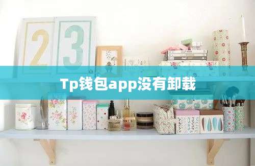 Tp钱包app没有卸载
