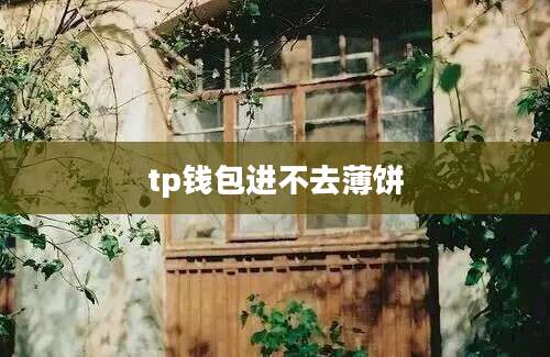 tp钱包进不去薄饼