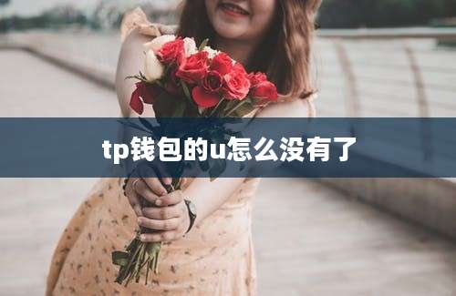 tp钱包的u怎么没有了