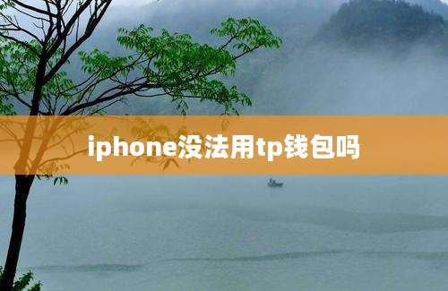 iphone没法用tp钱包吗