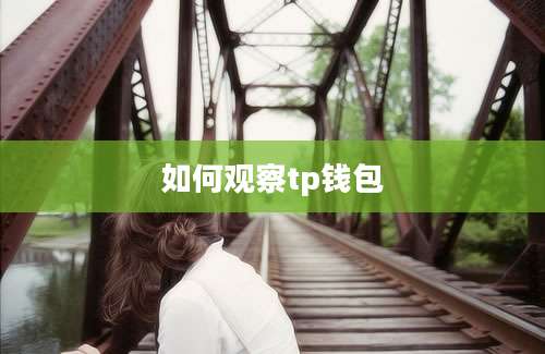 如何观察tp钱包
