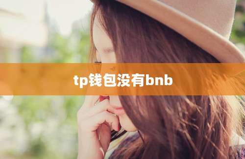 tp钱包没有bnb