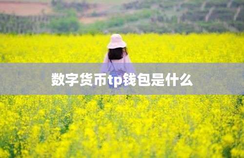 数字货币tp钱包是什么