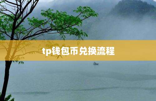 tp钱包币兑换流程