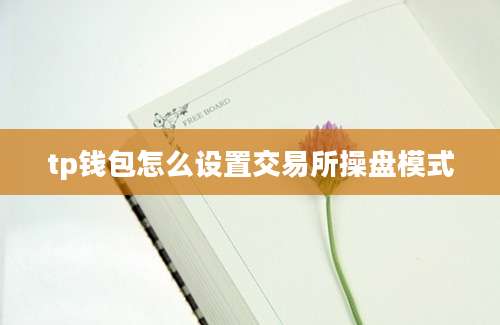 tp钱包怎么设置交易所操盘模式