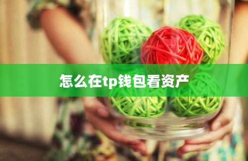 怎么在tp钱包看资产