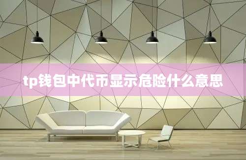 tp钱包中代币显示危险什么意思