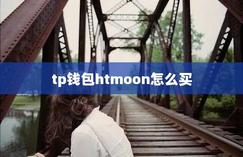 tp钱包htmoon怎么买