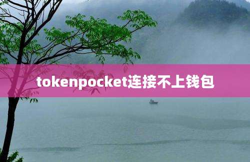 tokenpocket连接不上钱包