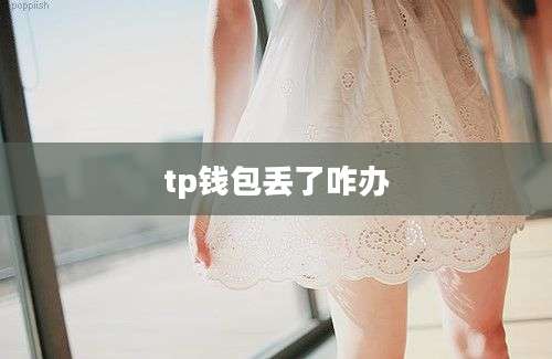 tp钱包丢了咋办
