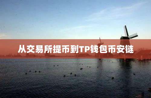 从交易所提币到TP钱包币安链