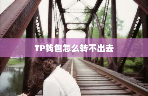 TP钱包怎么转不出去