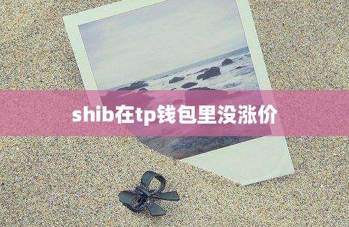 shib在tp钱包里没涨价