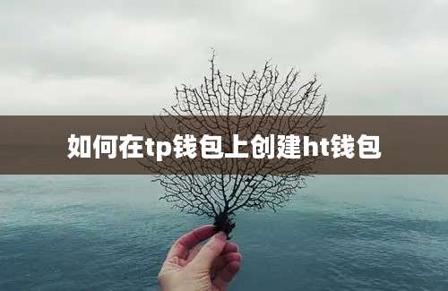 如何在tp钱包上创建ht钱包