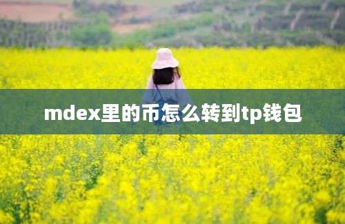 mdex里的币怎么转到tp钱包
