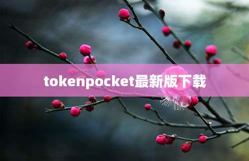 tokenpocket最新版下载