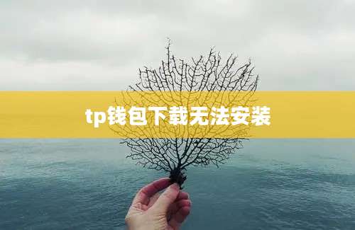 tp钱包下载无法安装