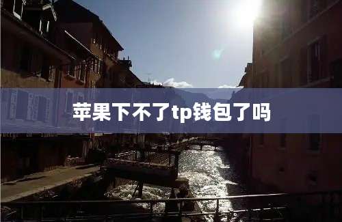 苹果下不了tp钱包了吗