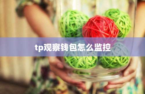 tp观察钱包怎么监控