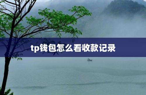 tp钱包怎么看收款记录