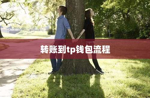 转账到tp钱包流程