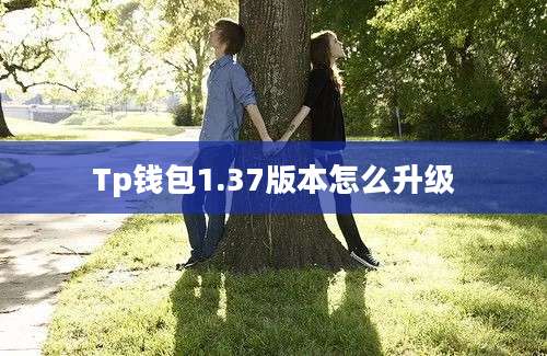 Tp钱包1.37版本怎么升级