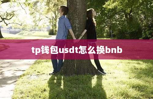 tp钱包usdt怎么换bnb