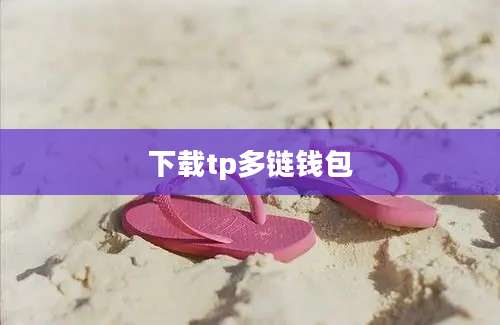 下载tp多链钱包