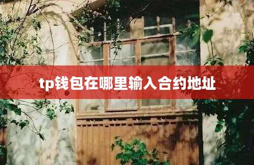 tp钱包在哪里输入合约地址