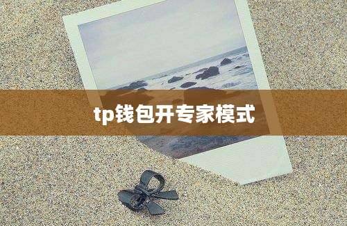 tp钱包开专家模式