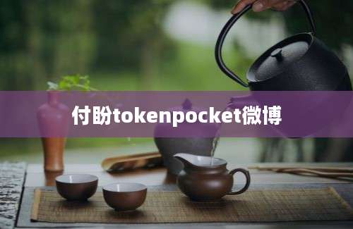 付盼tokenpocket微博