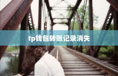 tp钱包转账记录消失