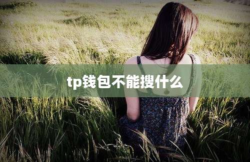 tp钱包不能搜什么