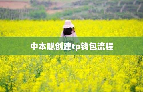 中本聪创建tp钱包流程