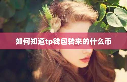 如何知道tp钱包转来的什么币
