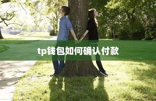 tp钱包如何确认付款