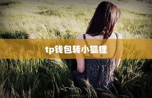 tp钱包转小狐狸