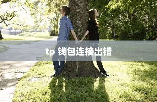tp 钱包连接出错