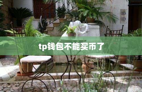 tp钱包不能买币了