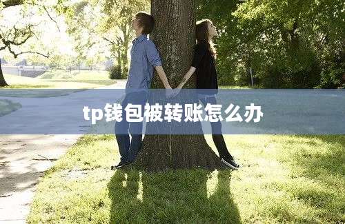 tp钱包被转账怎么办