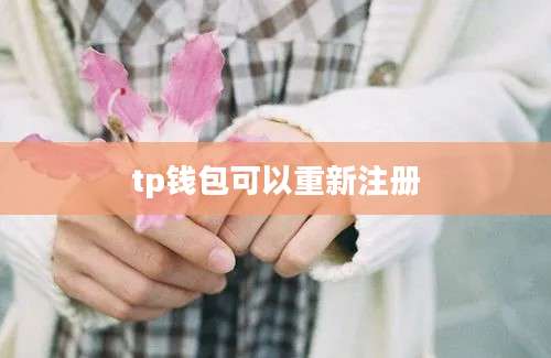 tp钱包可以重新注册