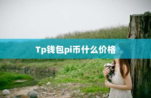 Tp钱包pi币什么价格