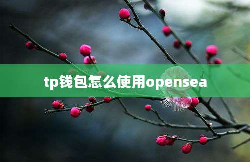 tp钱包怎么使用opensea