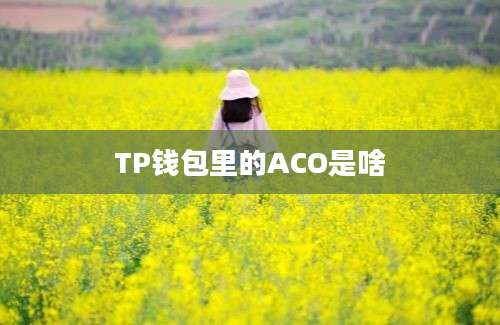 TP钱包里的ACO是啥