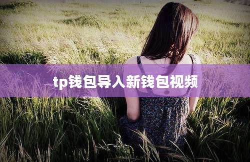 tp钱包导入新钱包视频