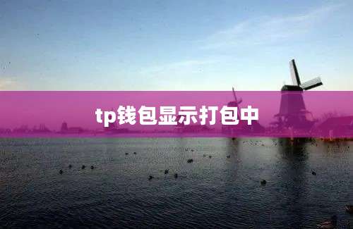 tp钱包显示打包中