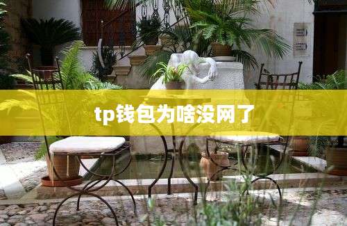 tp钱包为啥没网了